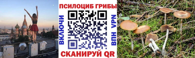 Псилоцибиновые грибы мицелий где продают МЕГА ONION Абаза